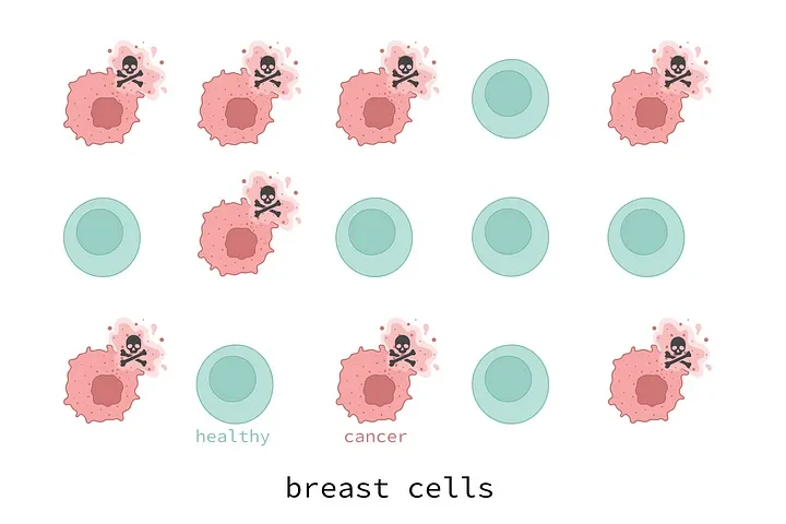 Breast cells